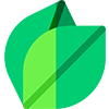 leaf_icon